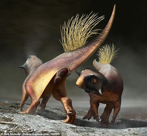 Dinosaurs Had Colourful Genitals Say Team Who Reconstructed Them