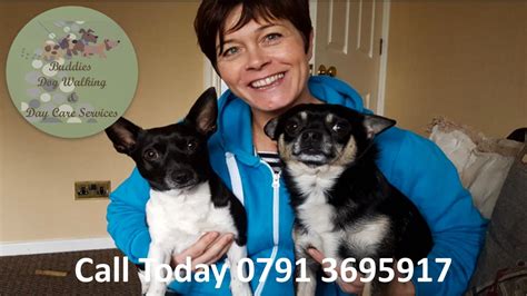 The veterinary care industry is dominated by women. Buddies Dog Walking And Doggy Day Care Services Wakefield ...