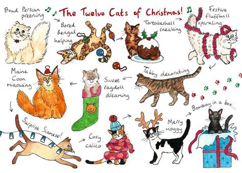 An Image Of Cats That Are In Christmas Costumes