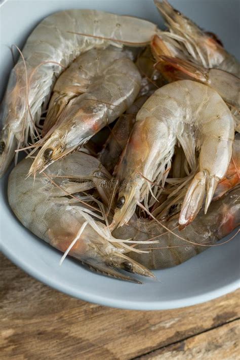 Whole Fresh Raw Shrimps Seafood In Bowl Stock Photo Image Of