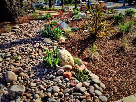 Xeriscapewaterwise Landscapes