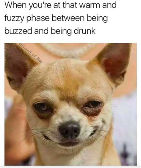 48 Funny Memes Your Drunk Ass Can Relate To Funny