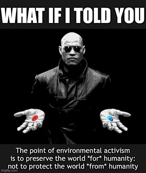 Properly Understood The Environmental Movement Is Not Misanthropic At