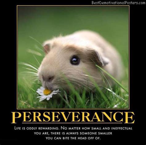 Great insights from authors, celebrities and more. Perseverance: Smal vs Smaller