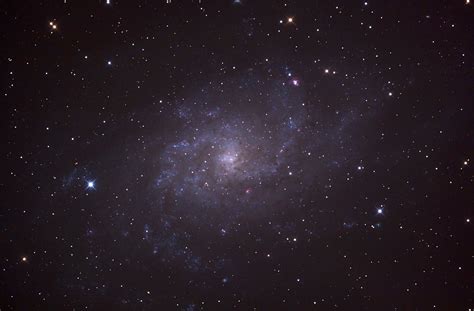 M33 Triangulum Galaxy Astronomy Pictures At Orion