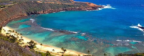 Living Ocean Scuba Hanauma Bay Scuba Diving Tours Oahu