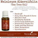 Young Living Tea Tree Oil Images