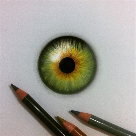 Draw An Iris Eye Warehouse Of Ideas