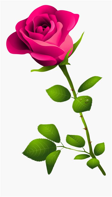 Top 81 Pink Rose Clip Art Pink Rose With Stem Free Transparent