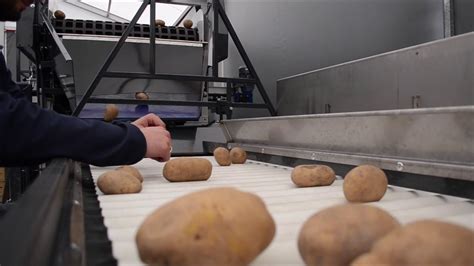 Packing Line For Potatoes Linia Do Pakowania Ziemniaków Youtube
