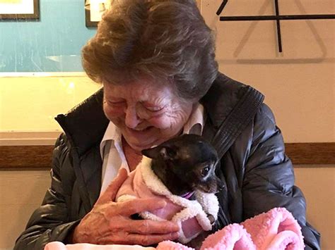 enkelin findet neuen hund für ihre einsame 73 jährige oma liebenswert magazin