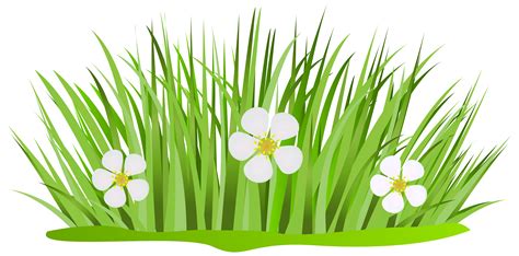 Picture Clipart Grass Picture Grass Transparent Free For Download On
