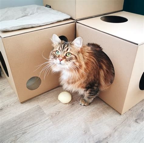 Cardboard 3 Modular Cat House Box Playhouse Furniture Cave Etsy