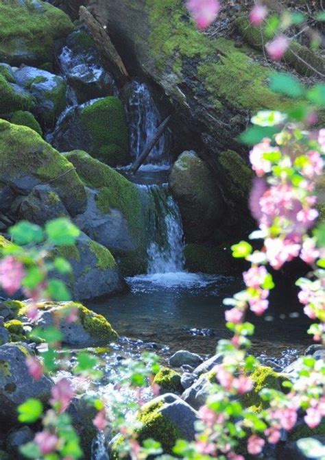 A Secluded Pool Waterfall Beautiful Waterfalls California Photos