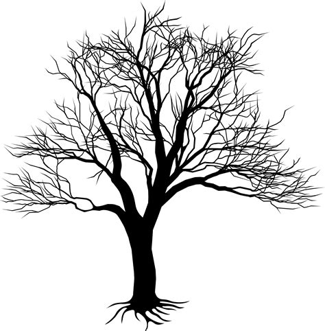 Simple Willow Tree Drawing Free Download On Clipartmag