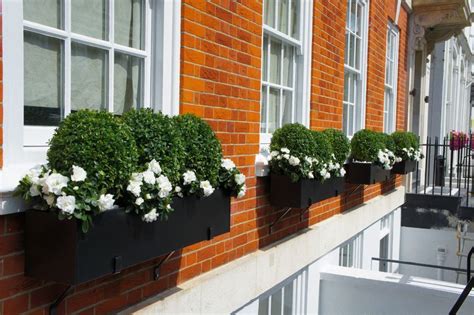 Shop wayfair for all the best modern window boxes. windowboxesmayfairlondon | Window box flowers, Fall window ...