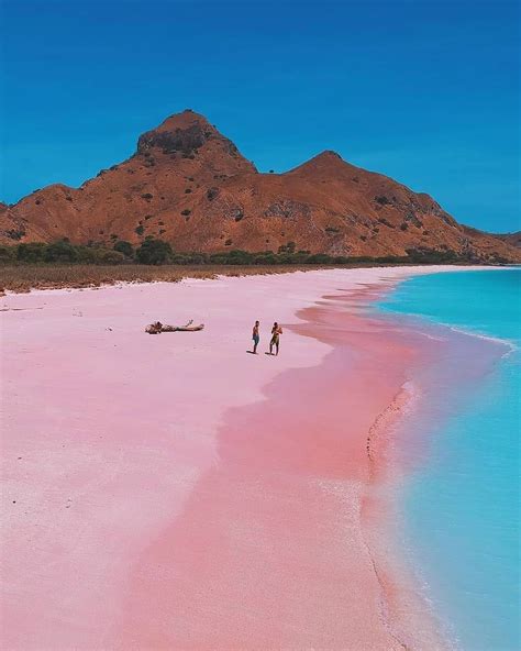 Pink Beach In Komodo Island Indonesia Cool Places To Visit