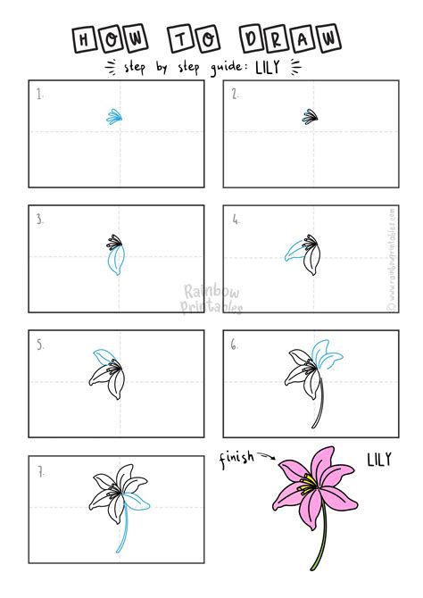 How To Draw A Lily Flower Rainbow Printables