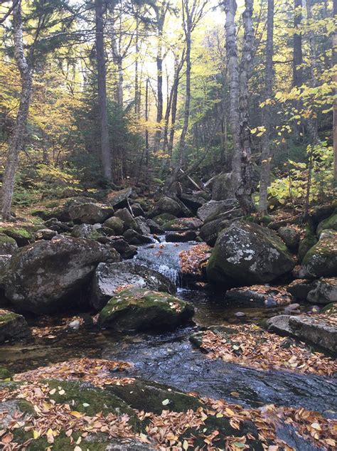 Center of Maine's Hundred Mile Wilderness on Appalachian Trail Gains