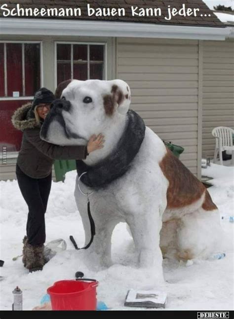 Normalerweise besteht ein schneemann aus drei verschieden großen, aufeinandergestapelten schneebällen, die unteren und oberen rumpf sowie den kopf darstellen. Schneemann bauen kann jeder... | Lustige Bilder, Sprüche ...