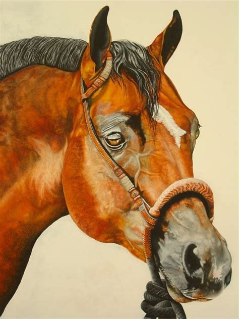 Pin By Kalin C On Equidae Horse Artwork Horse Illustration Equine