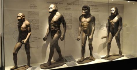 Adam And Eve Were Real Humans Originate From A Solitary Pair Scientists
