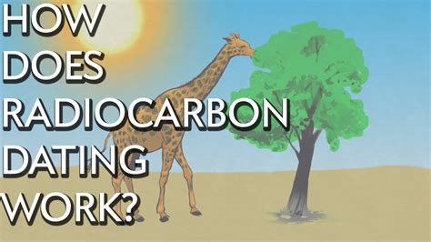 Carbon dating, or radiocarbon dating, is a method used to date materials that once exchanged carbon dioxide with the atmosphere. How Does Radiocarbon Dating Work? - Instant Egghead #28 ...
