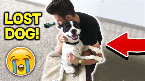 I Found A Lost Dog 🐶 Emotional Youtube