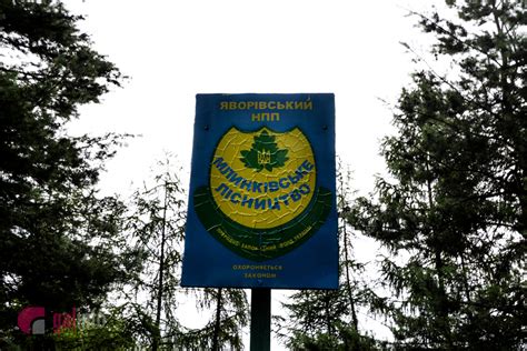 Яворівський національний парк був створений в 1998 році на території української частини розточчя. Новини Львова: На Львівщині живуть унікальні нащадки диких ...