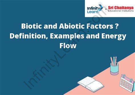 Biotic And Abiotic Factors Definition Examples And Energy Flow