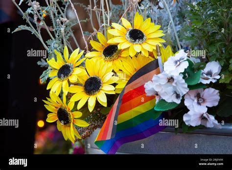 Cedar Glen, California, USA. 21st Aug, 2023. Tragic Loss of Life