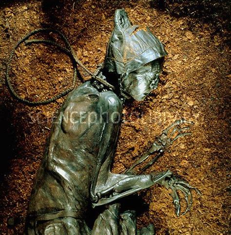 The Mummified Well Preserved Body Of Tollund Man Bog Body Tollund