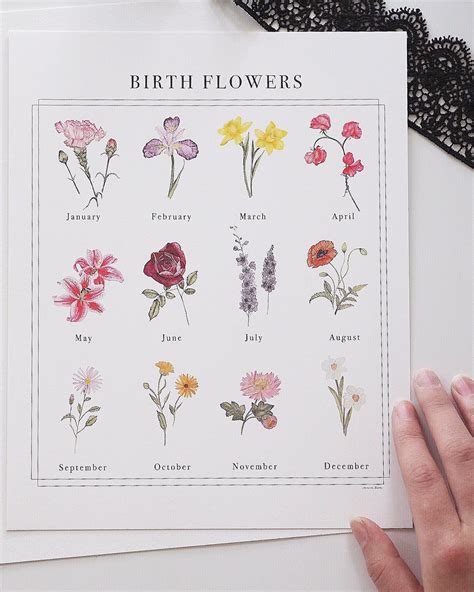 Birth Month Flowers Chart Idalias Salon