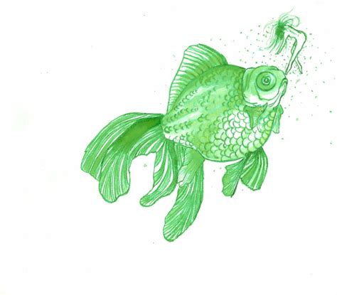 Rowaboat Doodle Goldfish