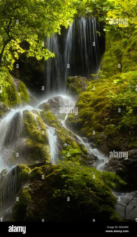 Waterfall On River In Green Forest Stock Photo Alamy