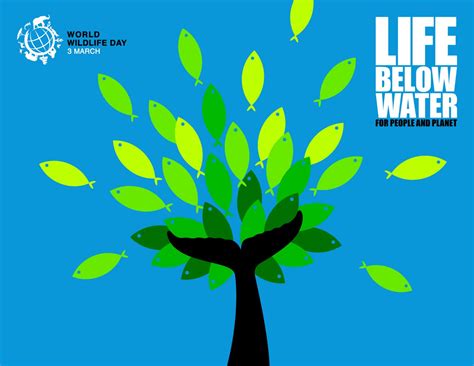 Life Below Water For People And Planet From Ox Magazine