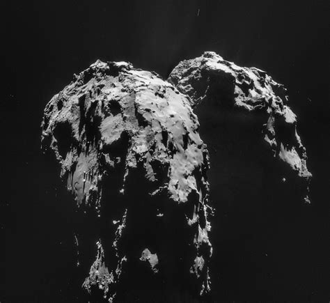 Rosetta Spacecrafts Comet Water Discovery What It Means For Earth Space