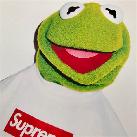 Supreme Supreme X Kermit The Frog A3 Poster Grailed