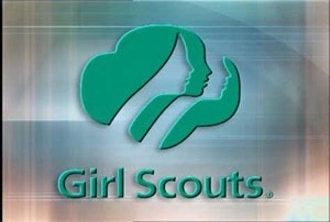 former duluth girl scouts exec sues over sexual discrimination park rapids enterprise news