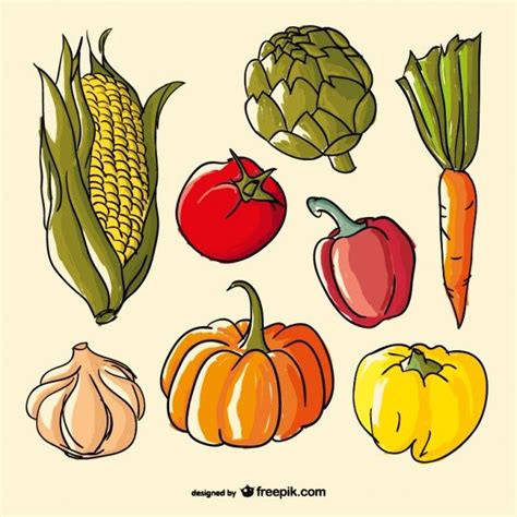 Free Vector Hand Drawn Vegetables Vegetable Illustration Vegetable