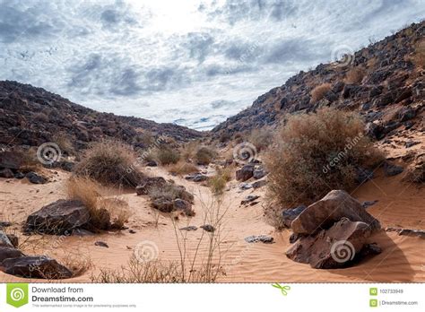 The Long Desert Road Stock Image Image Of Engraving
