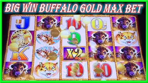 Buffalo Gold Come Back Big Win Slot Machine Live Play And Bonus Youtube