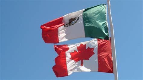 Olympic games 5:00 (canoe sprint). Canadá busca a mexicanos para que vivan, estudien y ...