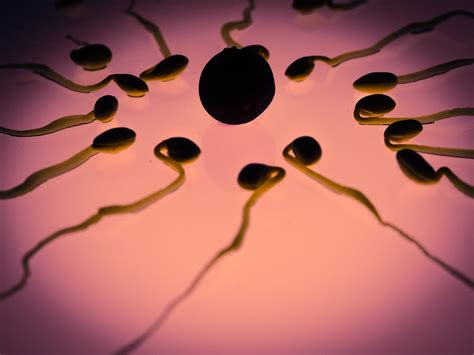 Robbing Women Japan S Sperm Donation Law Spurs Controversy