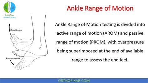 Range Of Motion Testing Charts