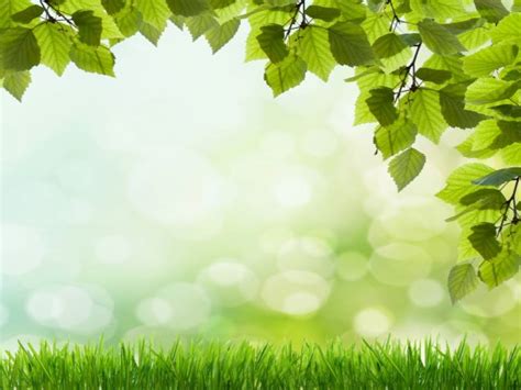 Download Beautiful Green Grass Background For Powerpoint
