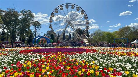 Floriade Canberra 2022 The Wonderful And Magical Garden In Australia