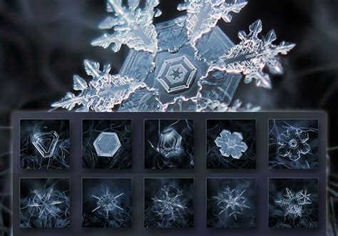 Stunning Macro Photography Of Snowflakes By Alexey Kljatov Design Swan