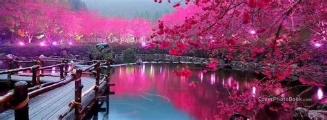 Cool and stylish profile pictures for facebook, whatsapp. Beautiful Lake Bridge Pink Trees Facebook Cover - Nature