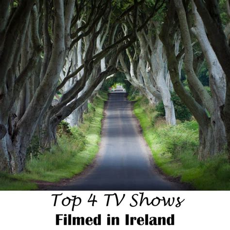 The Road Is Lined With Trees That Have Been Bent Over To Form A Tunnel